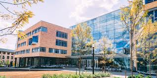 University of CEMA