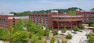 Kanazawa University