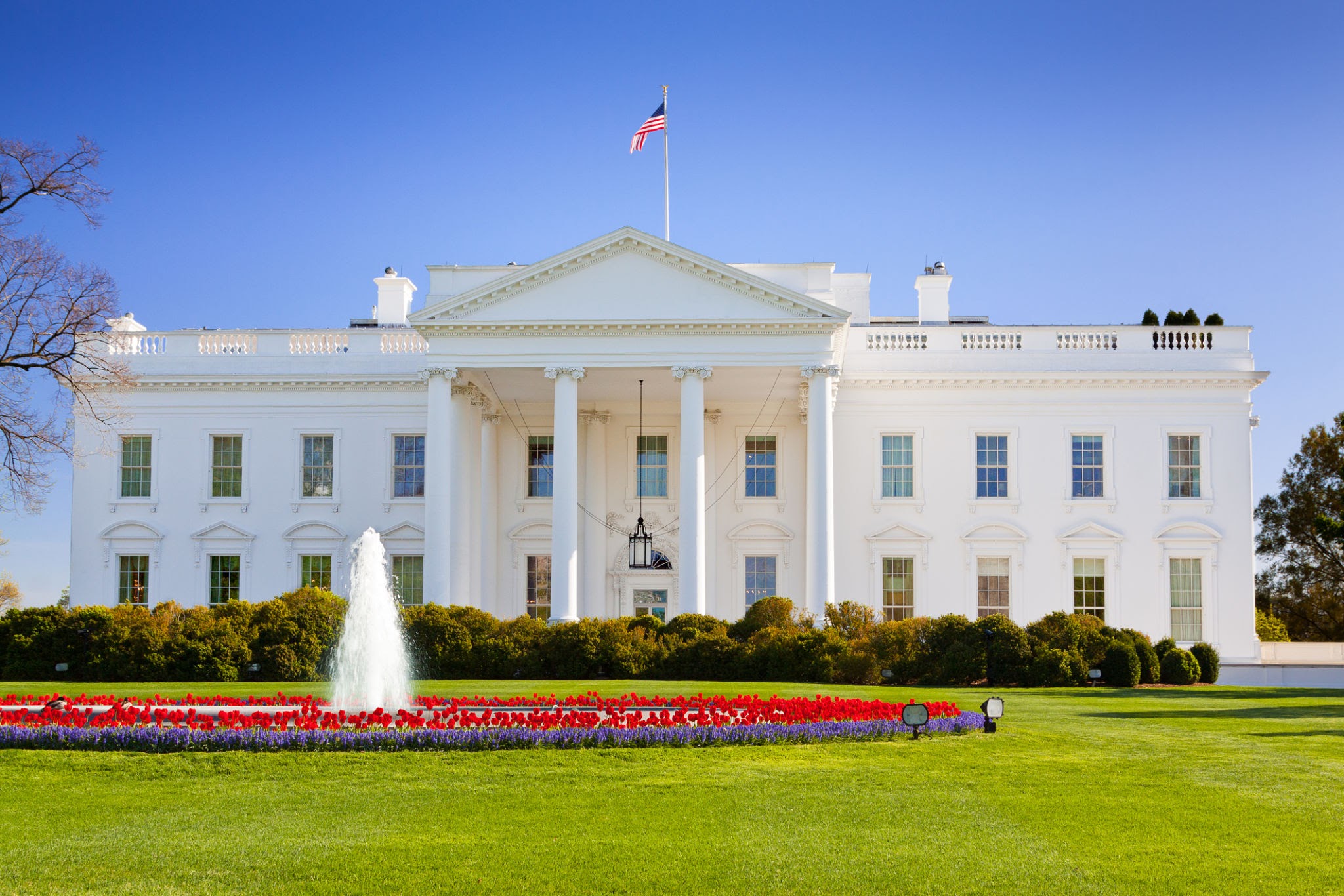 The White House