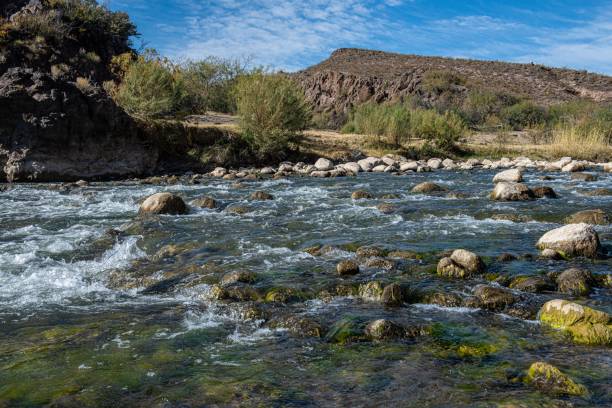 Deseado River river