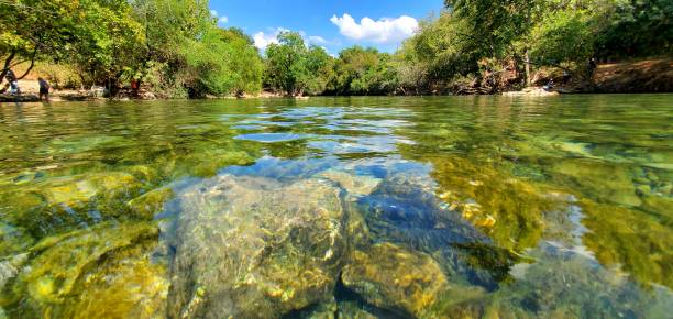 Salado River river