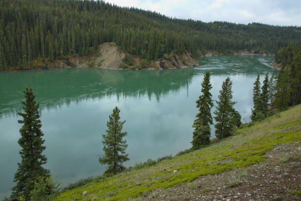 Yukon River river