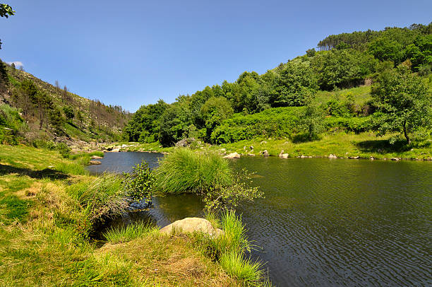 Tarn River river
