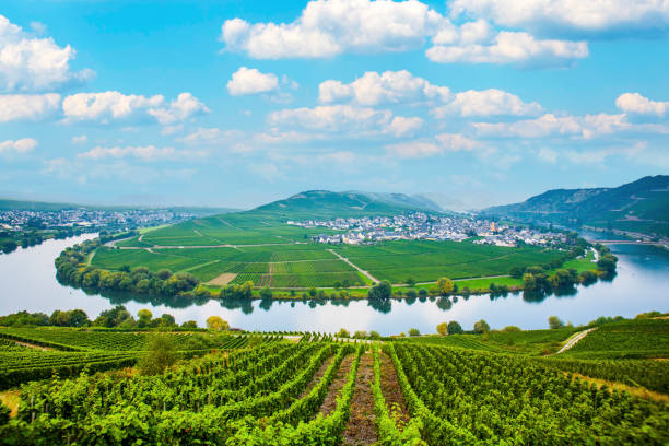 Moselle River river