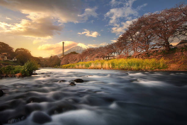 Fuji River river