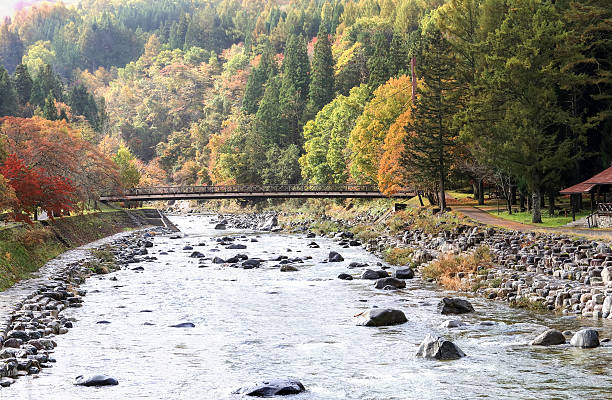 Nagano River river